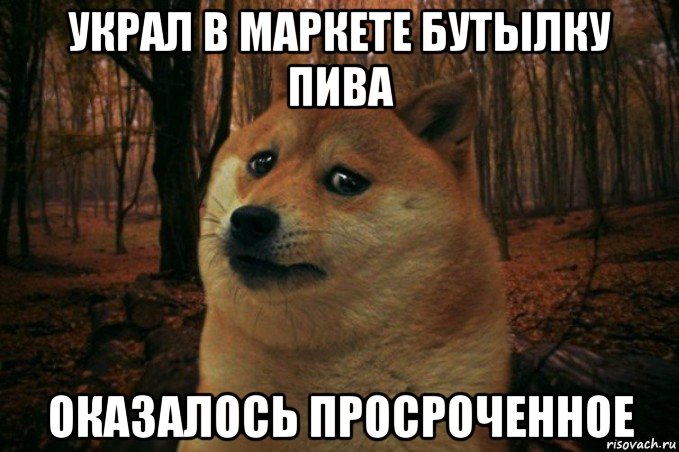 украл в маркете бутылку пива оказалось просроченное, Мем SAD DOGE