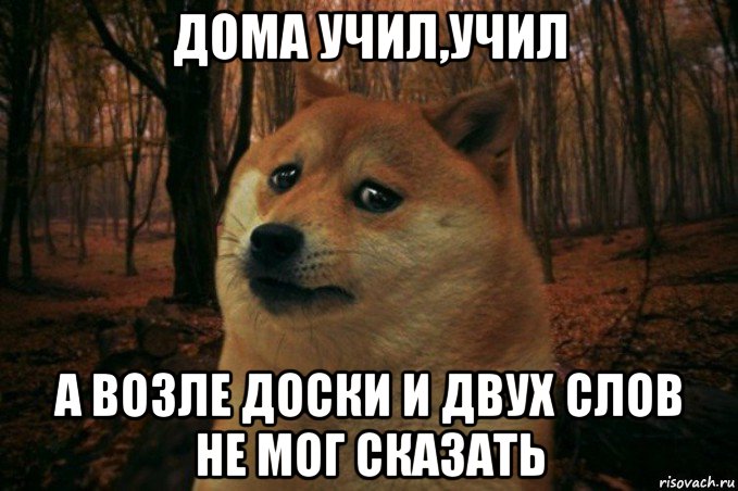 дома учил,учил а возле доски и двух слов не мог сказать, Мем SAD DOGE