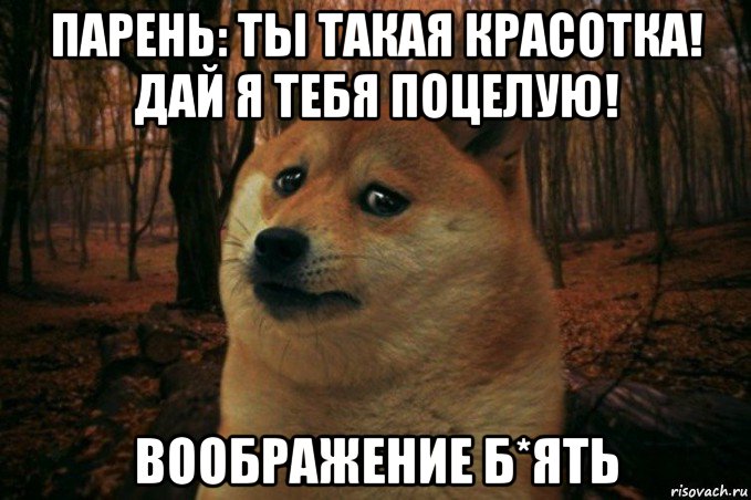 парень: ты такая красотка! дай я тебя поцелую! воображение б*ять, Мем SAD DOGE