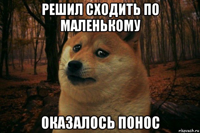 решил сходить по маленькому оказалось понос, Мем SAD DOGE