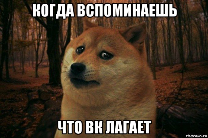 когда вспоминаешь что вк лагает, Мем SAD DOGE