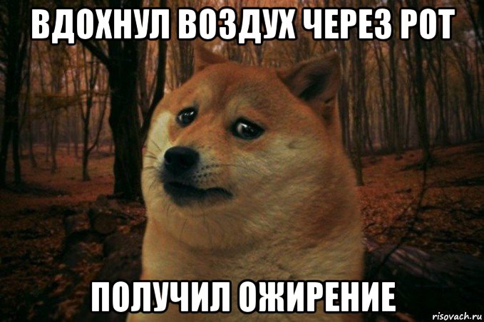 вдохнул воздух через рот получил ожирение, Мем SAD DOGE