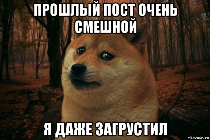 прошлый пост очень смешной я даже загрустил, Мем SAD DOGE