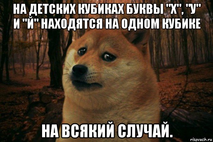 на детских кубиках буквы "х", "у" и "й" находятся на одном кубике на всякий случай., Мем SAD DOGE