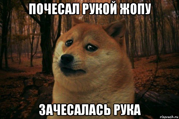 почесал рукой жопу зачесалась рука, Мем SAD DOGE