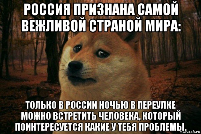 россия признана самой вежливой страной мира: только в россии ночью в переулке можно встретить человека, который поинтересуется какие у тебя проблемы., Мем SAD DOGE