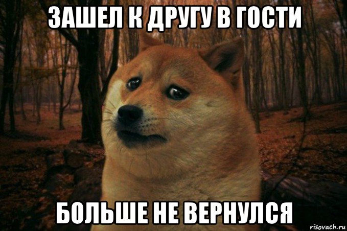 зашел к другу в гости больше не вернулся, Мем SAD DOGE