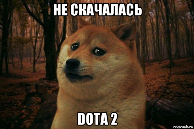 не скачалась dota 2, Мем SAD DOGE