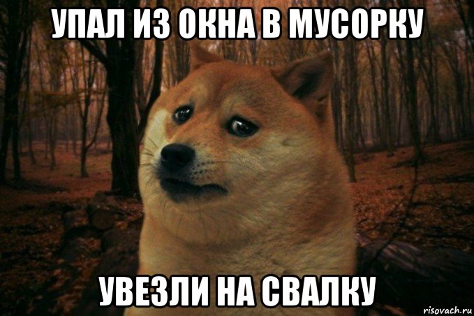 упал из окна в мусорку увезли на свалку, Мем SAD DOGE