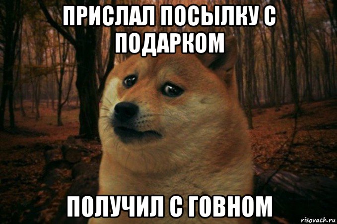 прислал посылку с подарком получил с говном, Мем SAD DOGE