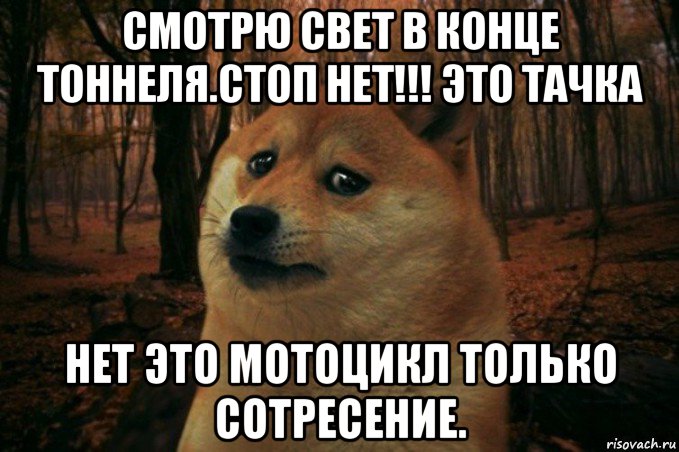 смотрю свет в конце тоннеля.стоп нет!!! это тачка нет это мотоцикл только сотресение., Мем SAD DOGE