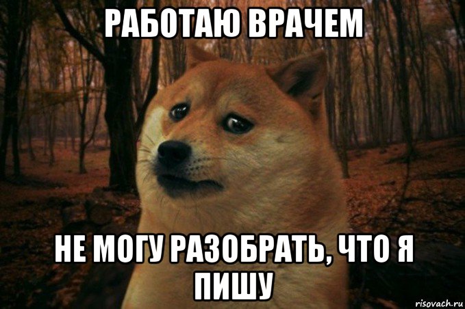 работаю врачем не могу разобрать, что я пишу, Мем SAD DOGE