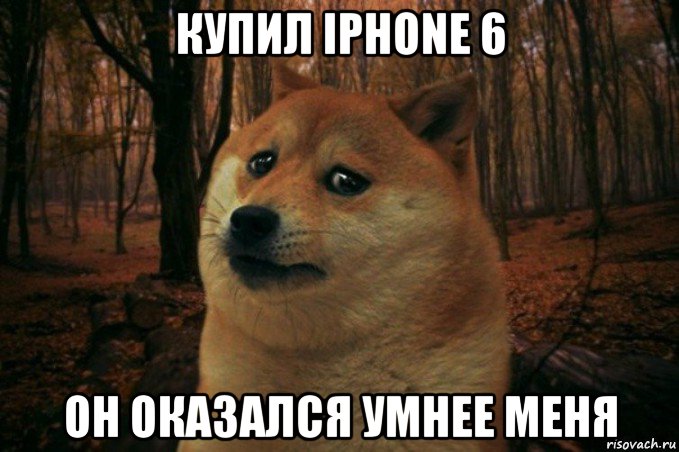 купил iphone 6 он оказался умнее меня, Мем SAD DOGE