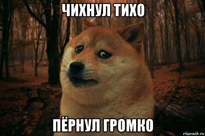 чихнул тихо пёрнул громко, Мем SAD DOGE