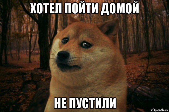 хотел пойти домой не пустили, Мем SAD DOGE