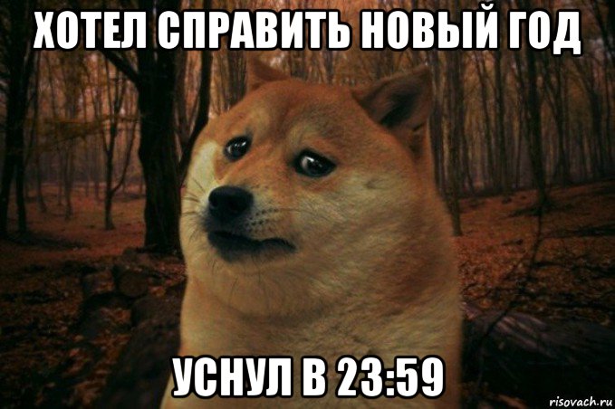 хотел справить новый год уснул в 23:59, Мем SAD DOGE