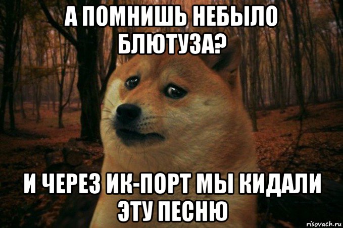 а помнишь небыло блютуза? и через ик-порт мы кидали эту песню, Мем SAD DOGE