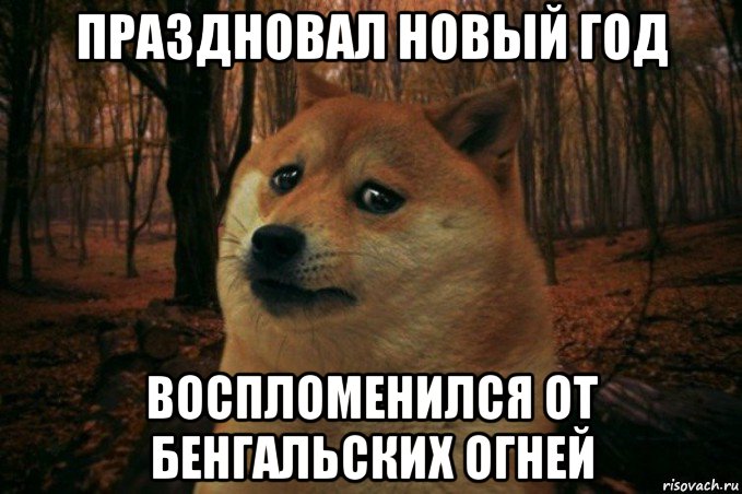 праздновал новый год воспломенился от бенгальских огней, Мем SAD DOGE