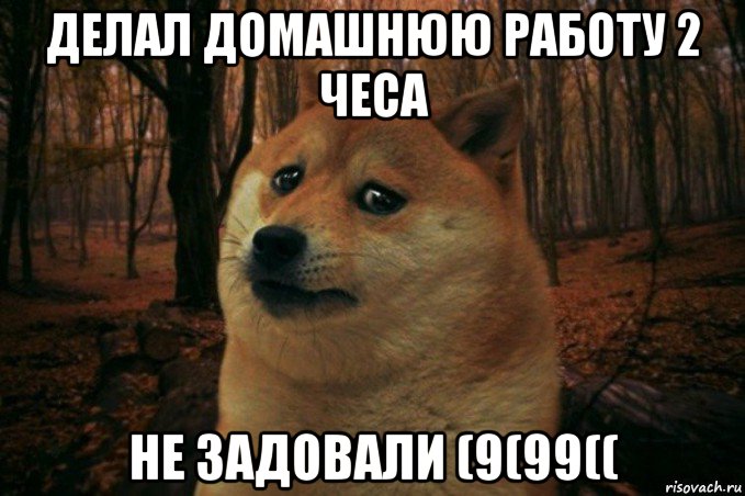 делал домашнюю работу 2 чеса не задовали (9(99((, Мем SAD DOGE