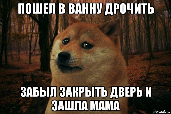 пошел в ванну дрочить забыл закрыть дверь и зашла мама, Мем SAD DOGE