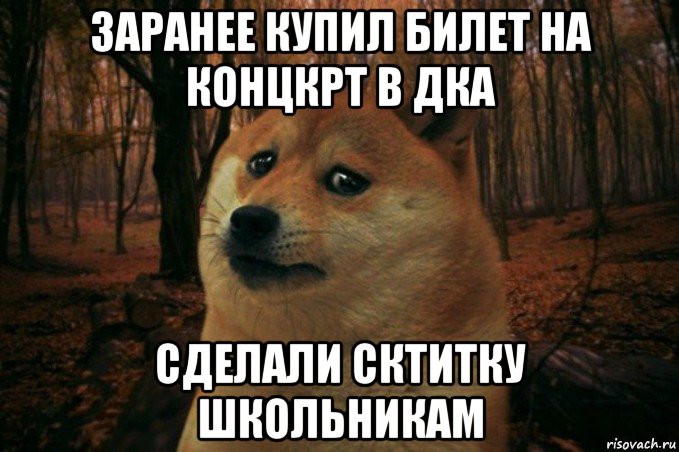 заранее купил билет на концкрт в дка сделали сктитку школьникам, Мем SAD DOGE