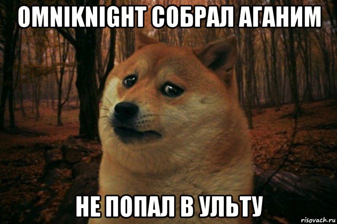 omniknight собрал аганим не попал в ульту, Мем SAD DOGE