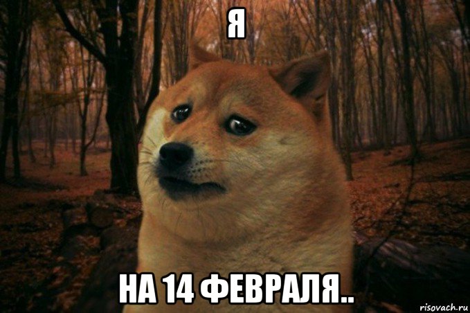 я на 14 февраля..