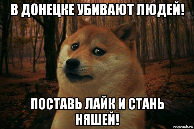 в донецке убивают людей! поставь лайк и стань няшей!, Мем SAD DOGE