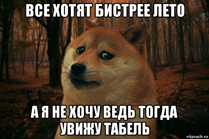 все хотят бистрее лето а я не хочу ведь тогда увижу табель, Мем SAD DOGE