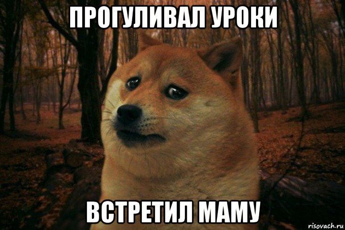 прогуливал уроки встретил маму, Мем SAD DOGE