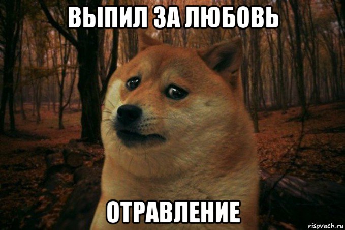 выпил за любовь отравление, Мем SAD DOGE