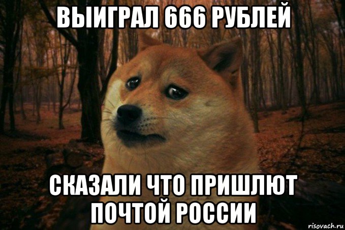 выиграл 666 рублей сказали что пришлют почтой россии, Мем SAD DOGE