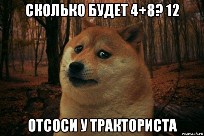 сколько будет 4+8? 12 отсоси у тракториста, Мем SAD DOGE