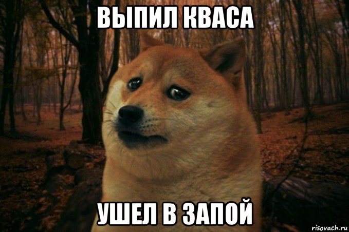 выпил кваса ушел в запой, Мем SAD DOGE