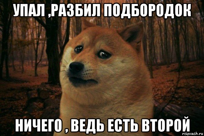 упал ,разбил подбородок ничего , ведь есть второй, Мем SAD DOGE