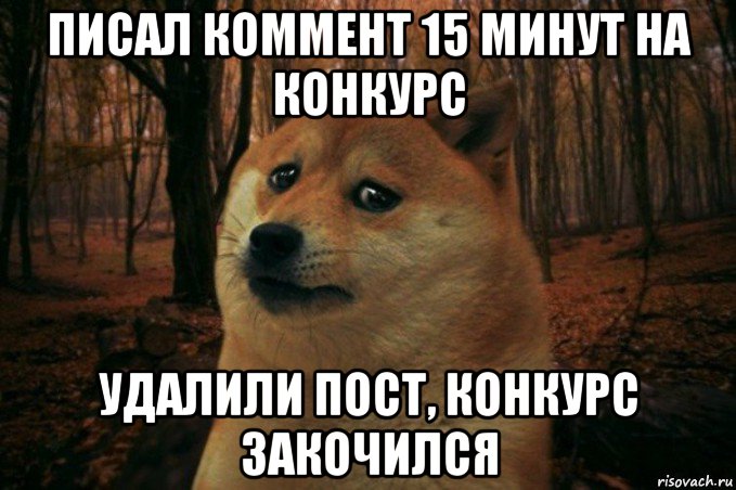 писал коммент 15 минут на конкурс удалили пост, конкурс закочился, Мем SAD DOGE