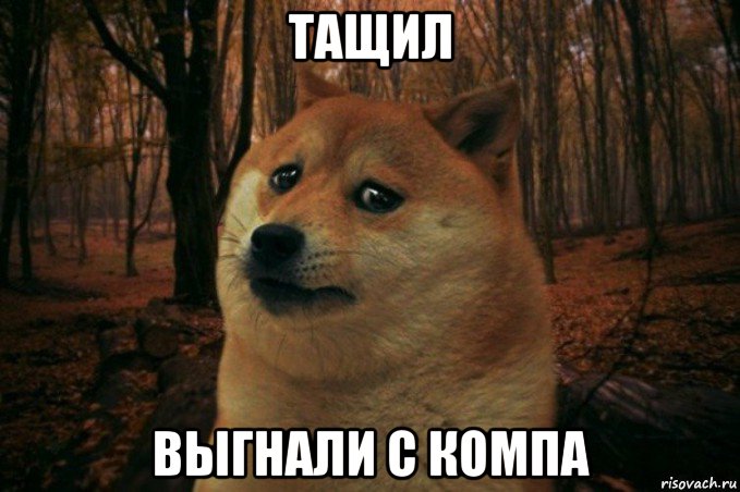 тащил выгнали с компа, Мем SAD DOGE