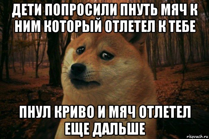 дети попросили пнуть мяч к ним который отлетел к тебе пнул криво и мяч отлетел еще дальше, Мем SAD DOGE