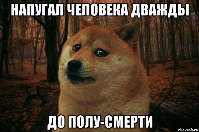 напугал человека дважды до полу-смерти, Мем SAD DOGE