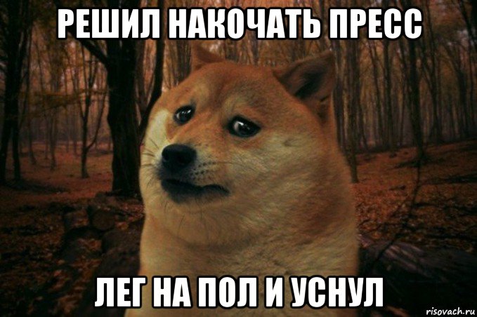 решил накочать пресс лег на пол и уснул, Мем SAD DOGE