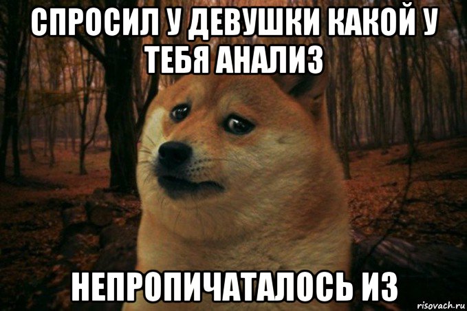 спросил у девушки какой у тебя анализ непропичаталось из, Мем SAD DOGE