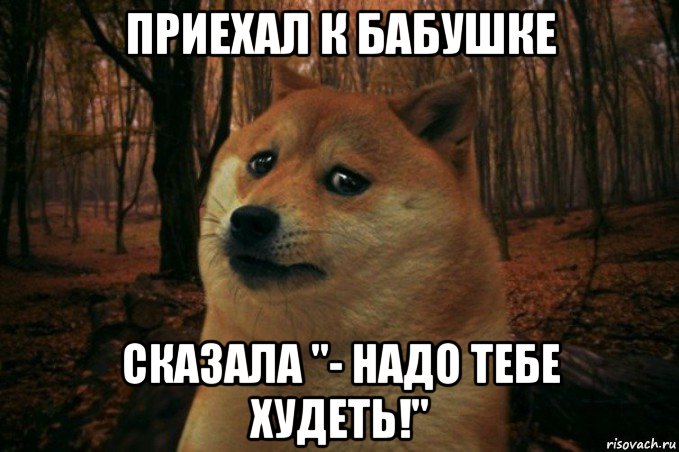 приехал к бабушке сказала "- надо тебе худеть!", Мем SAD DOGE