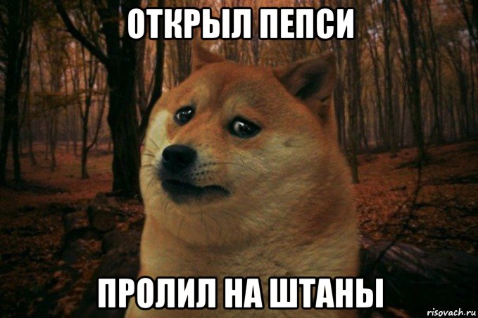 открыл пепси пролил на штаны, Мем SAD DOGE