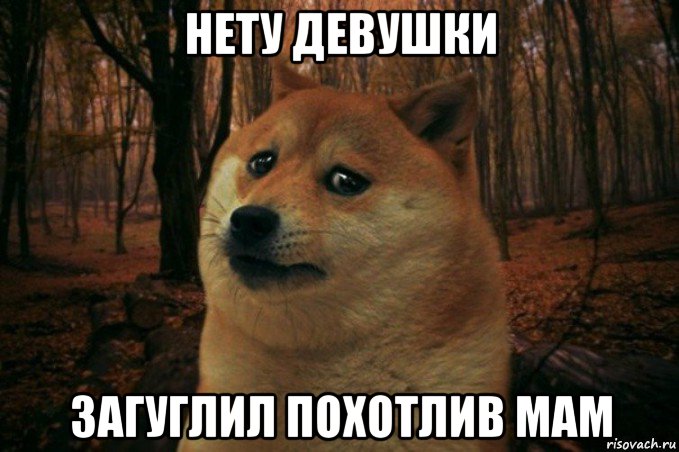 нету девушки загуглил похотлив мам, Мем SAD DOGE