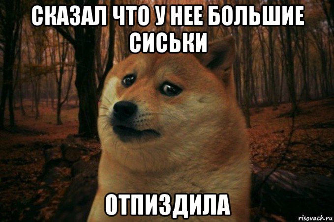 сказал что у нее большие сиськи отпиздила, Мем SAD DOGE