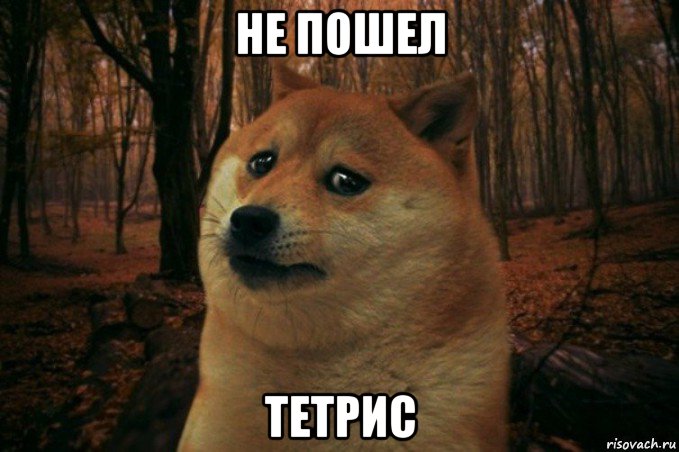 не пошел тетрис, Мем SAD DOGE