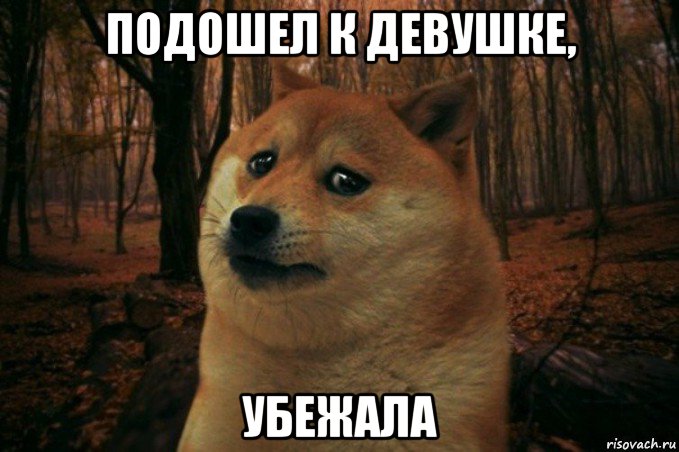 наголо телефон отобрали гопники, Мем SAD DOGE