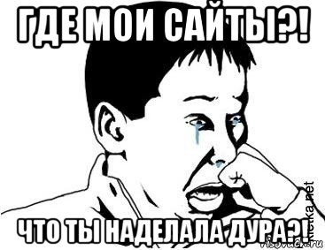 где мои сайты?! что ты наделала дура?!, Мем сашок