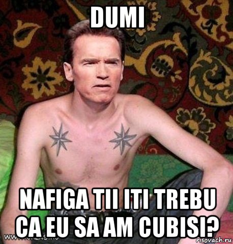 dumi nafiga tii iti trebu ca eu sa am cubisi?, Мем Шварц на нарах