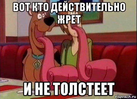 вот кто действительно жрет и не толстеет